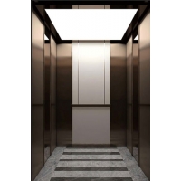 Hotel Type Passenger Elevator, Pleasantview Gem Inn